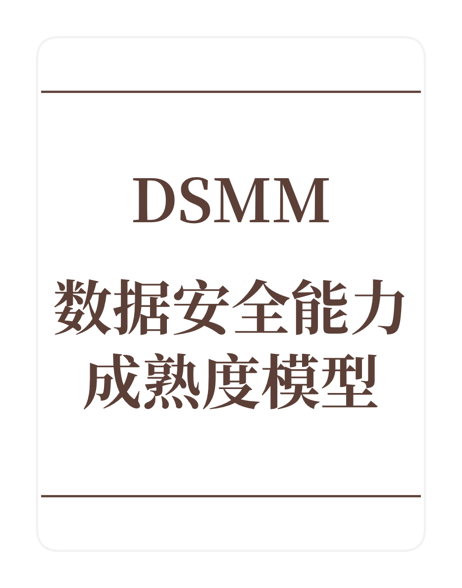 DSMM数据安全能力成熟度